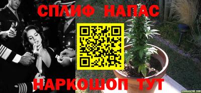 ГАЛЛЮЦИНОГЕННЫЕ ГРИБЫ Коммунар