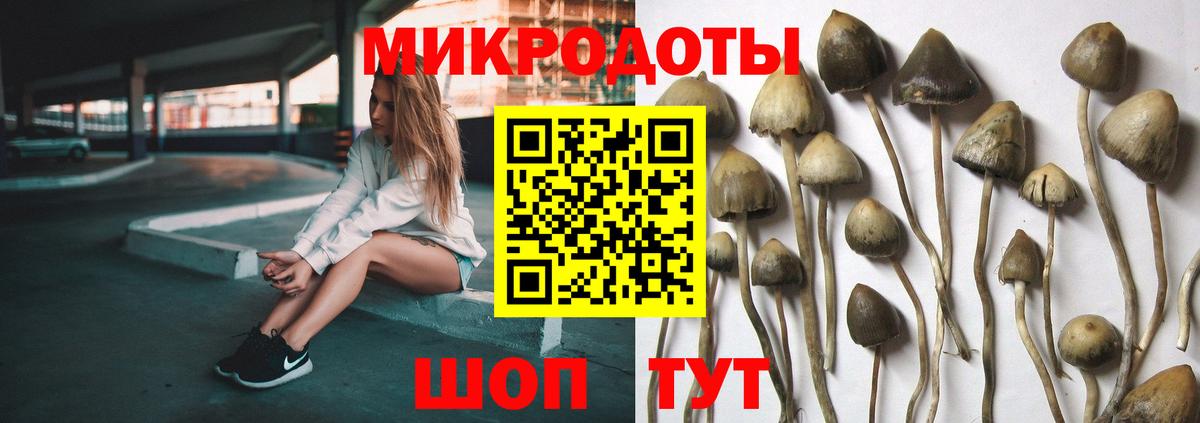 Псилоцибиновые грибы Magic Shrooms Кудрово