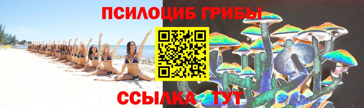 Кудрово  Псилоцибиновые грибы ЛСД  Вход с VPN  Псилоцибиновые грибы Magic Shrooms 
